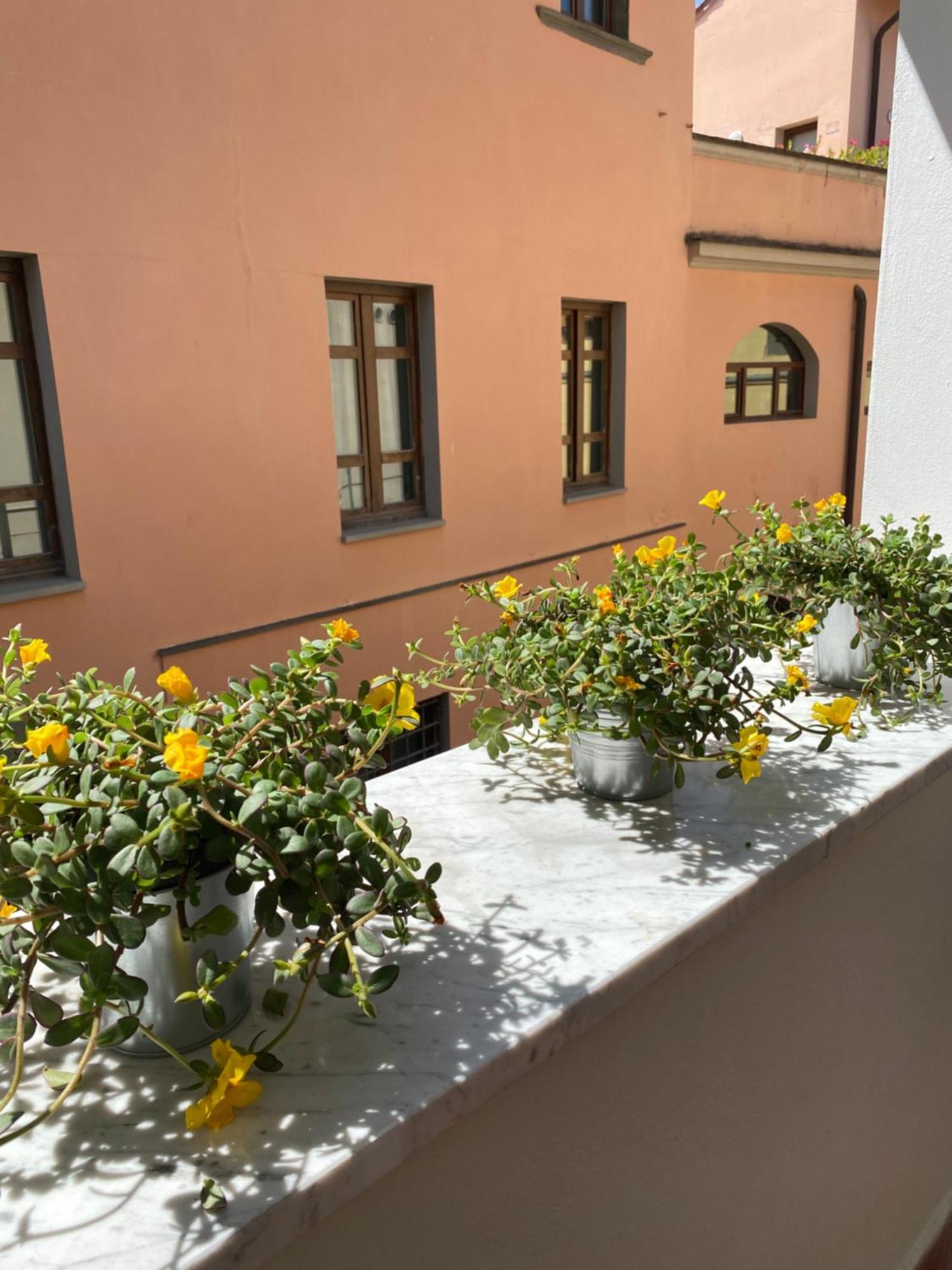 Blom Apartments Pisa Bagian luar foto